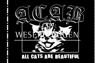 All cats 01